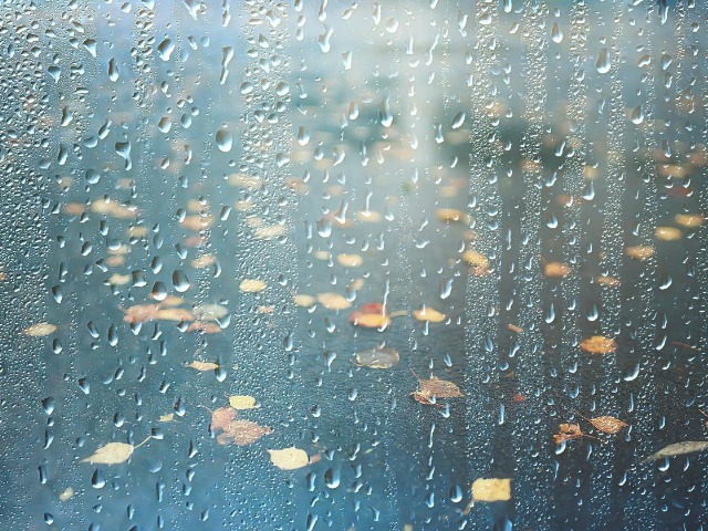 梅雨明け予想 福岡をはじめとする九州各県はいつになる Jw Gigharbor