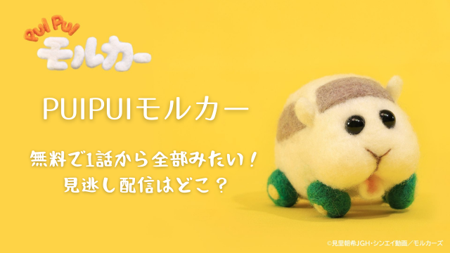 puipuiモルカー無料配信