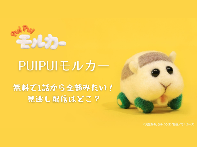 puipuiモルカー無料配信