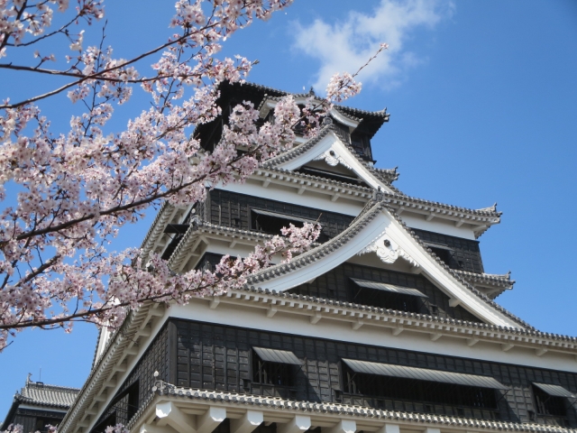 熊本城と桜